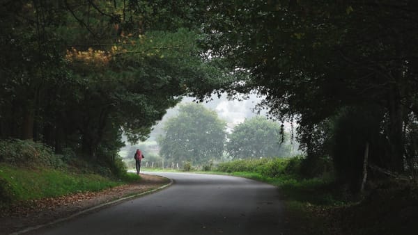 Camino de Santiago: conoce las diferentes rutas