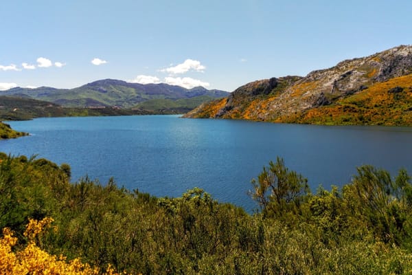 Recorriendo el río Esla entre León y Zamora