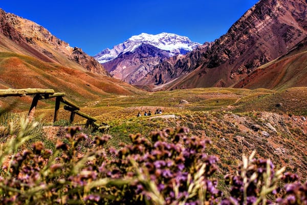 Mendoza, viñedos a la sombra de los Andes