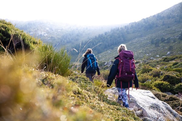 Visitando el Parque Nacional de Guadarrama