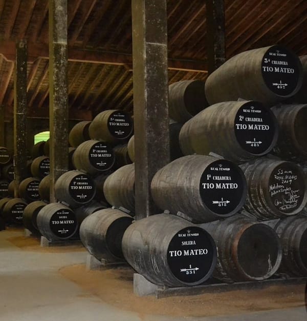 Descubriendo la Ruta del Vino y el Brandy de Jerez