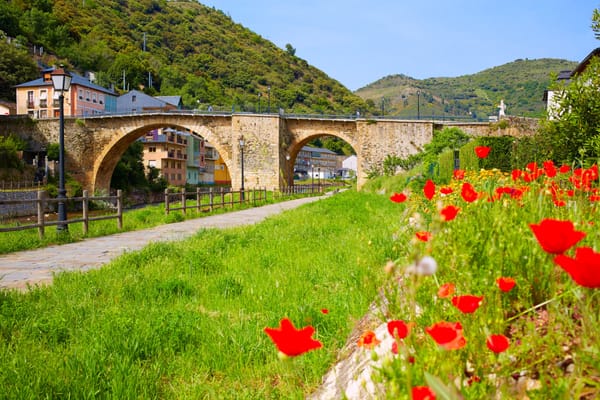 Descubriendo el Camino Olvidado a Santiago