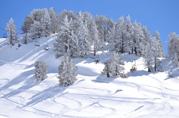 arboles estacion baqueira beret