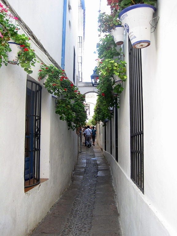 Calle de las Flores