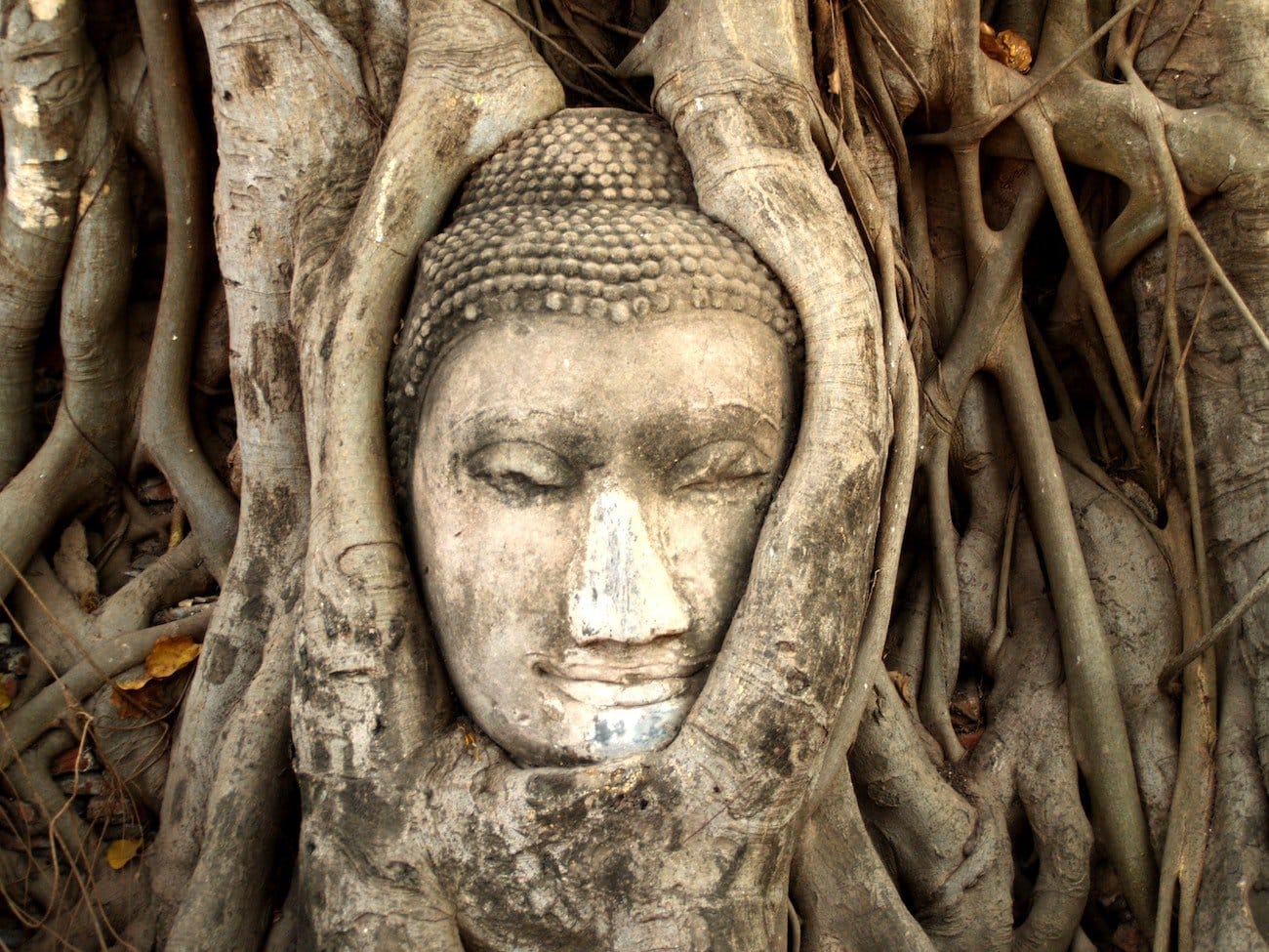 Wat Rong Khun