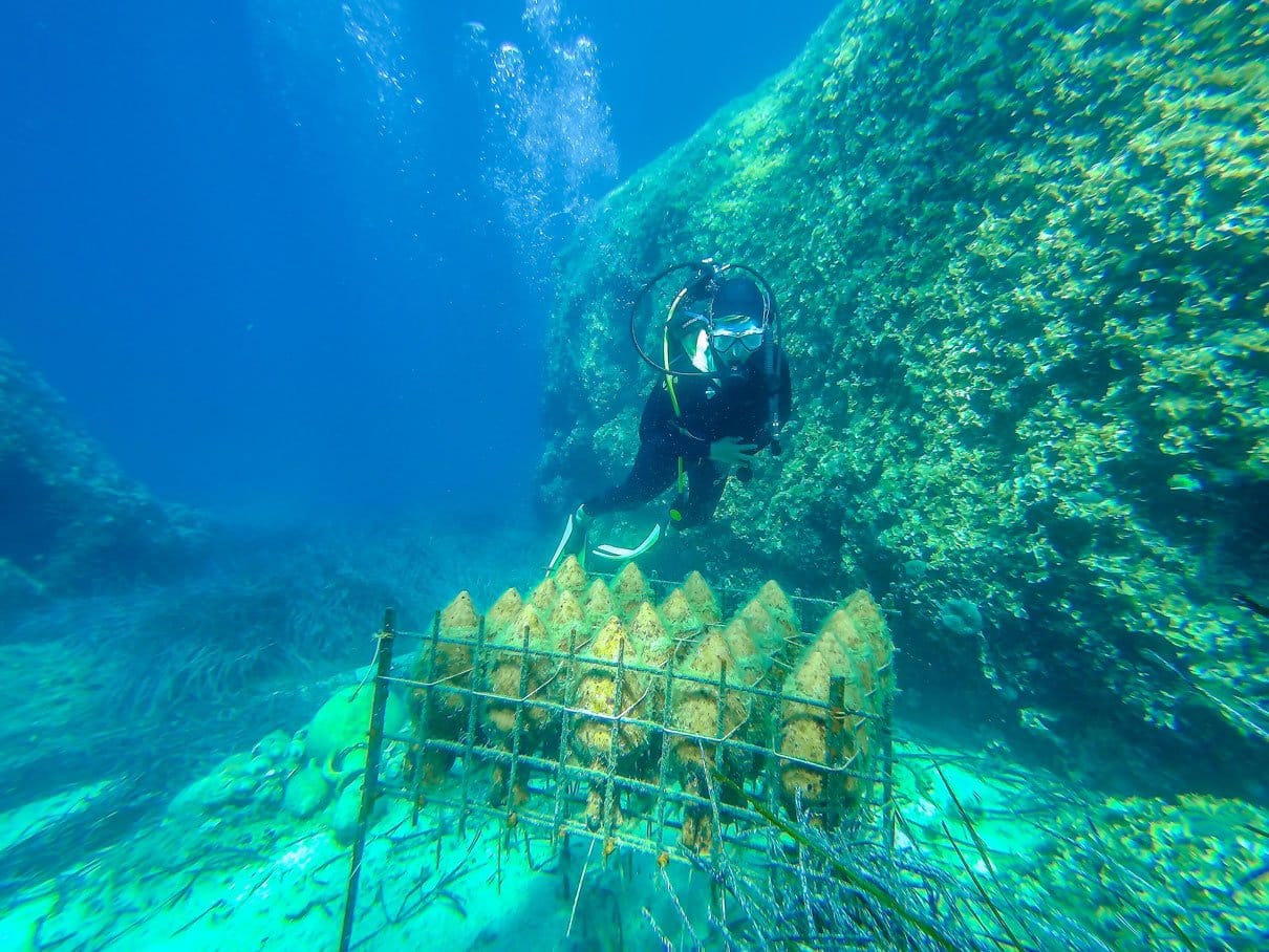 Bodega submarina Edivo