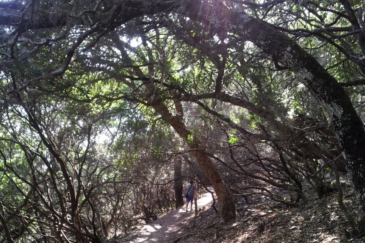 Monfragüe Extremadura