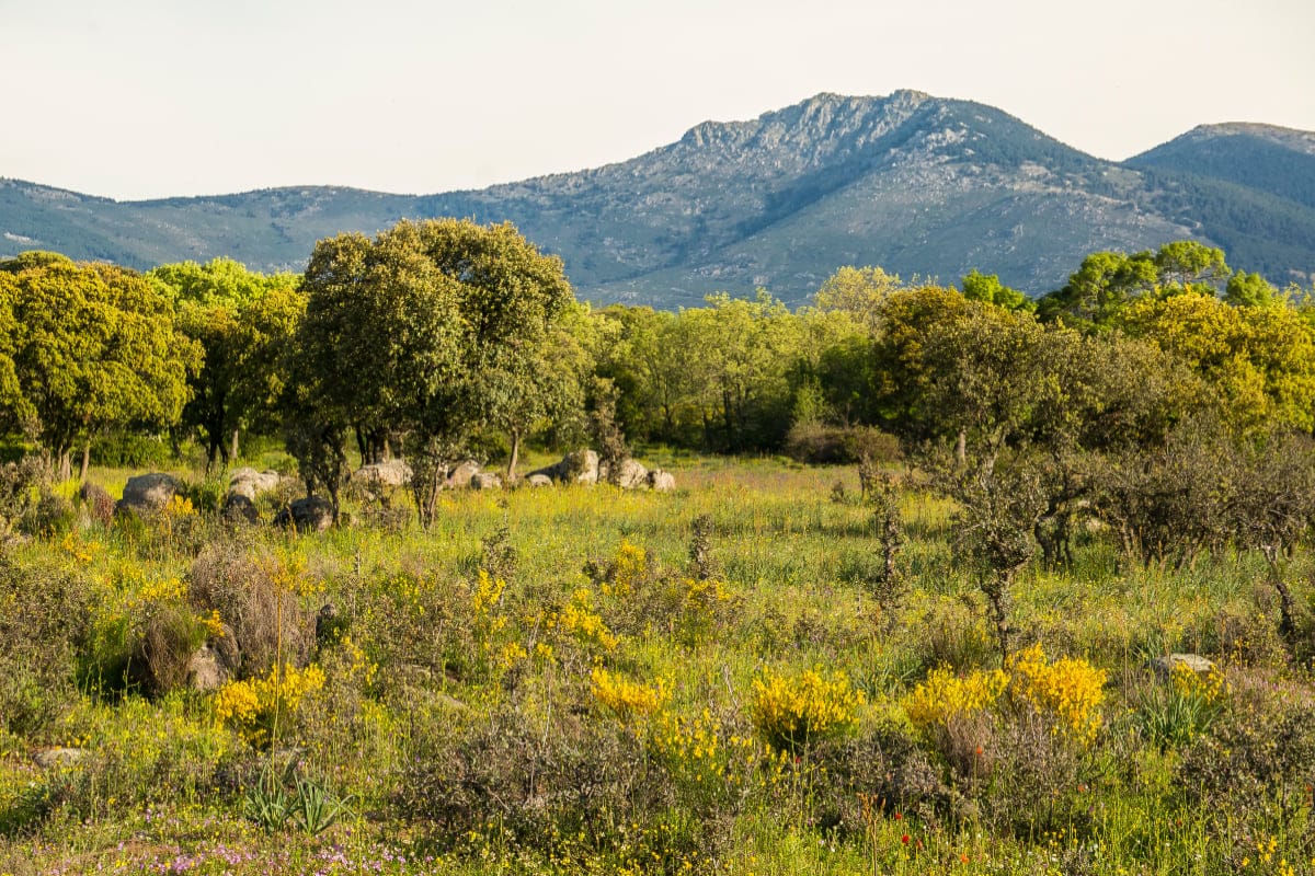 Sierra Norte de Madrid