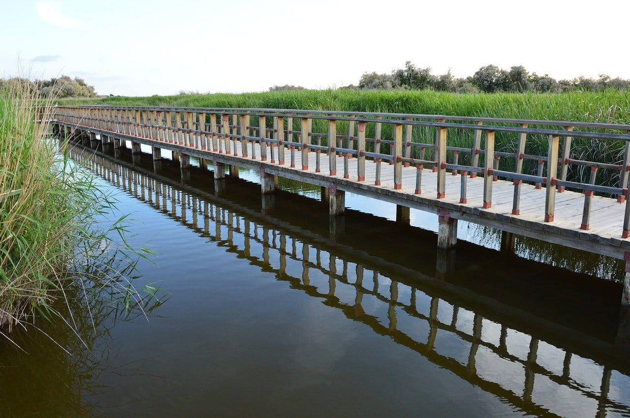 Tablas de Daimiel