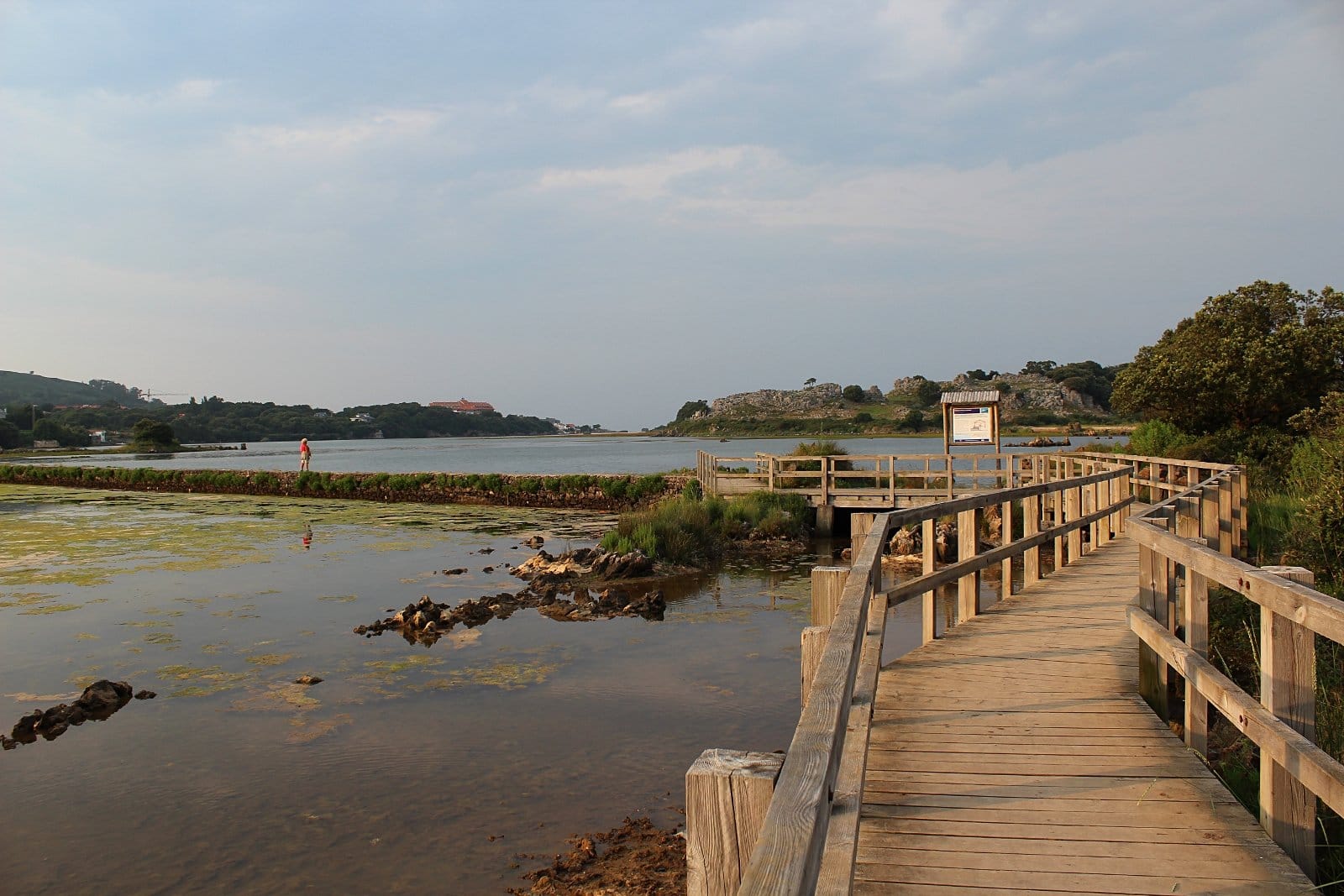 Marismas Santoña