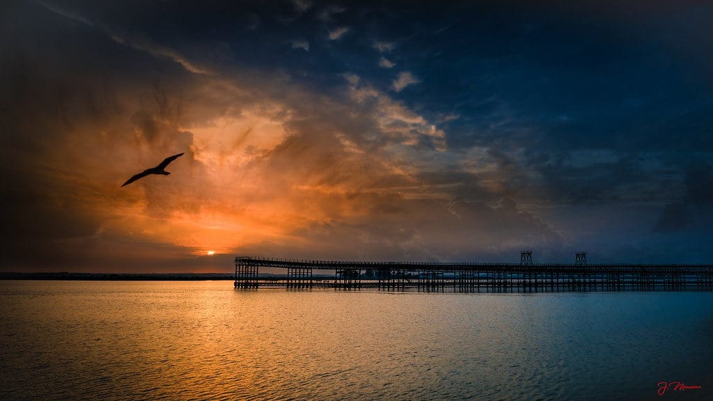 El Muelle del Tinto