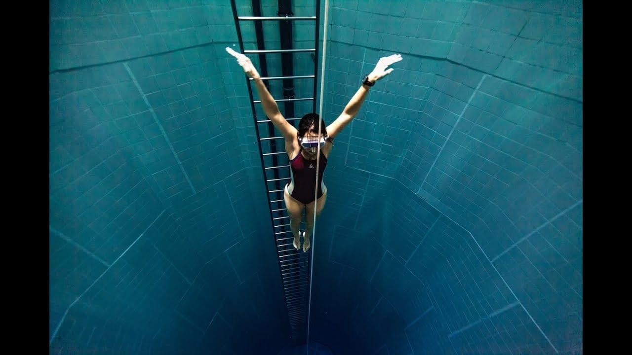 Nemo 33