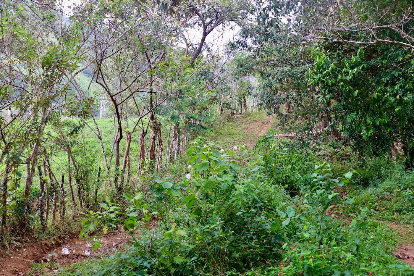 Santa Fé en Panamá