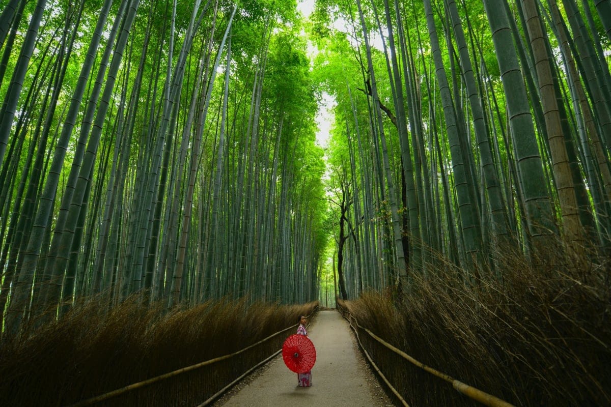 Arashiyama