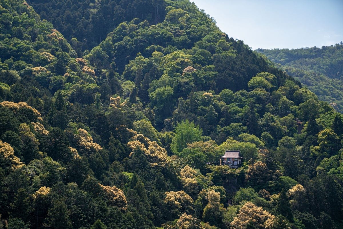 Arashiyama