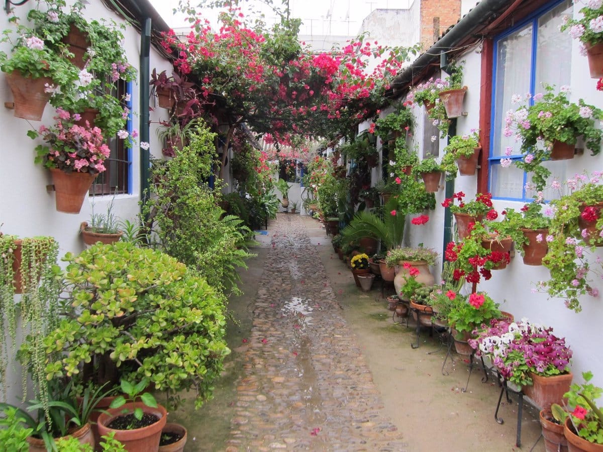 Patios de Córdoba