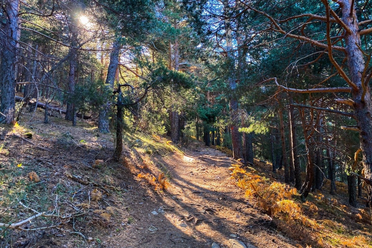 Parque Nacional de Guadarrama