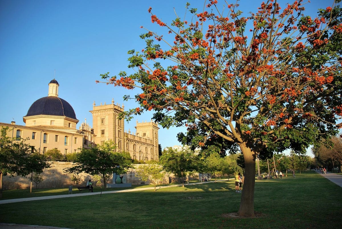 Los parques más bonitos de Valencia