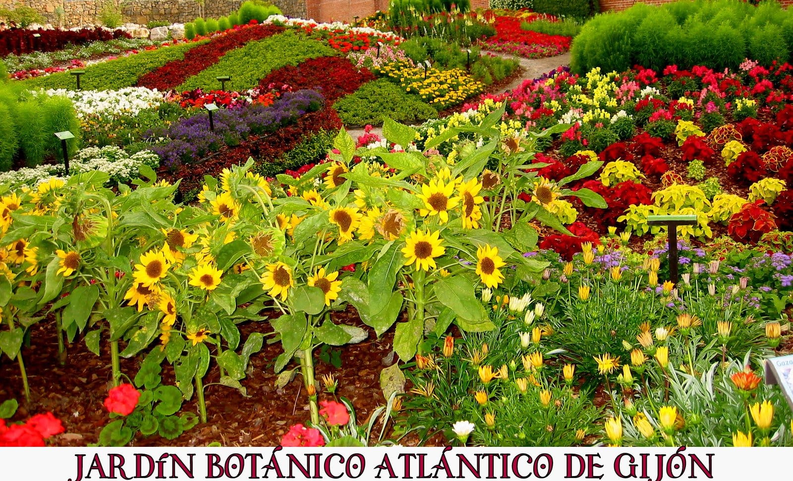 Jardín Botánico Atlántico de Gijón