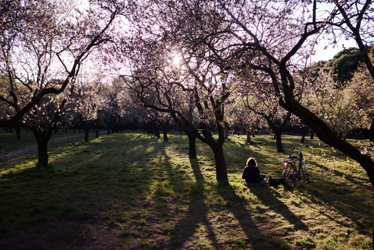 Quinta de los Molinos