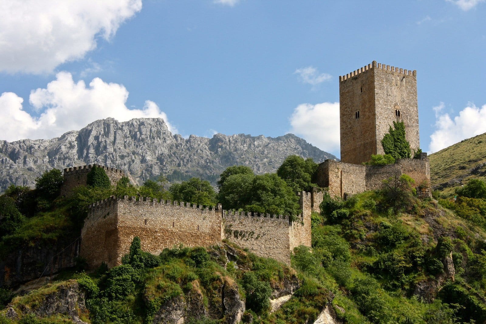 Castillo de la Yedra