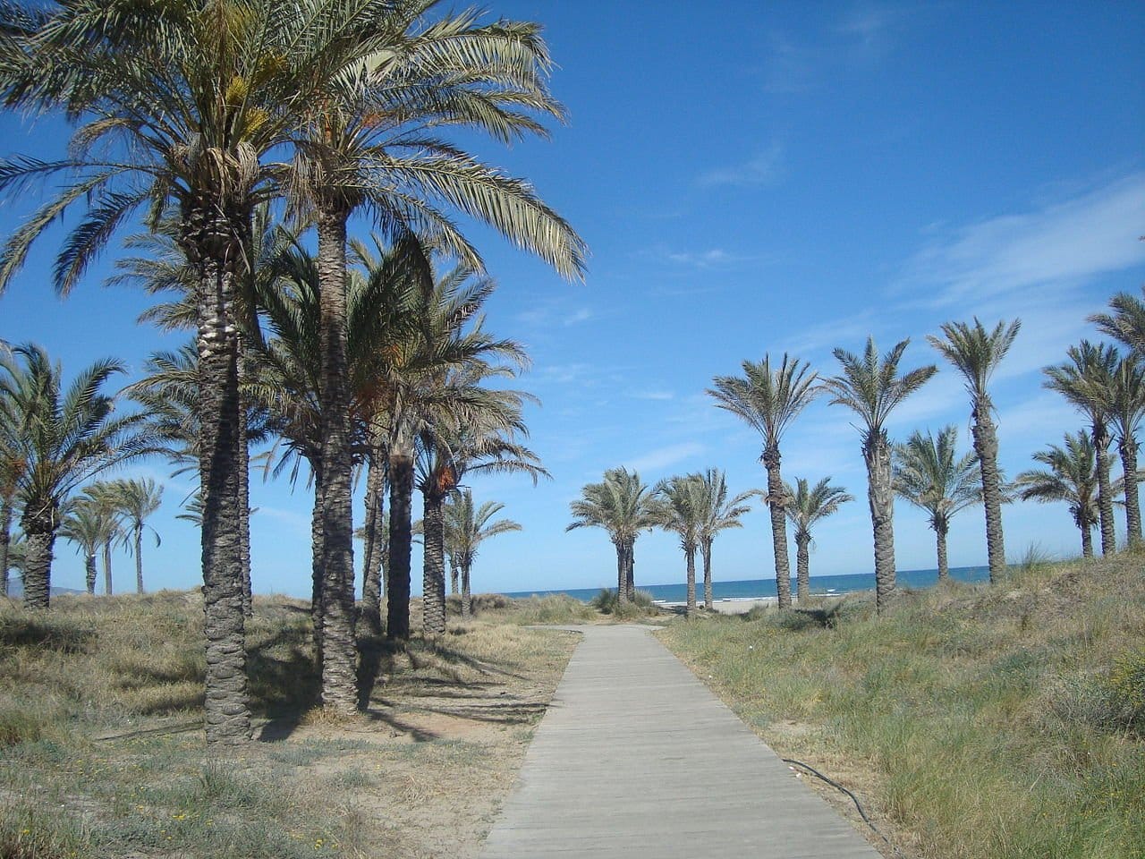 Playa del Pinar en Castellón