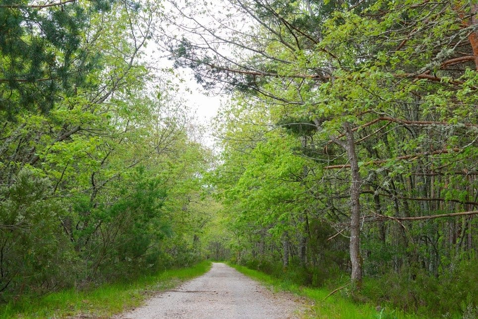 Vía Verde de la Sierra de la Demanda