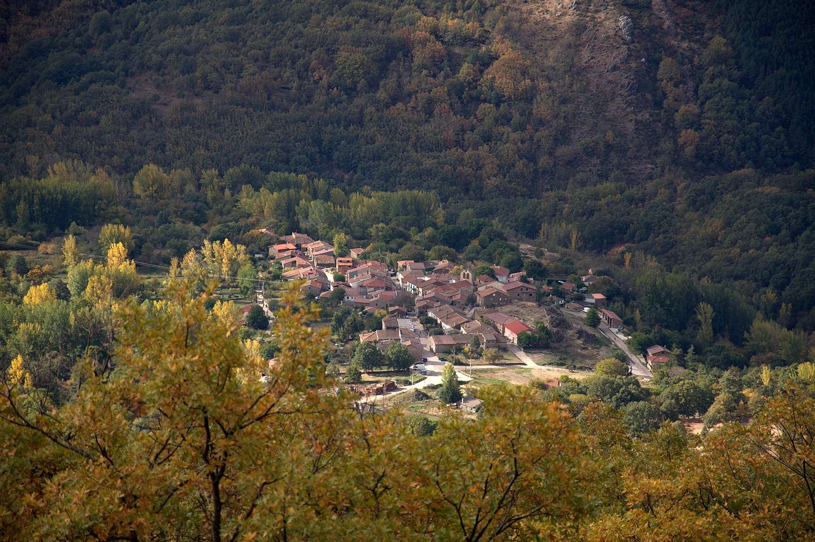 El Cardoso de la Sierra