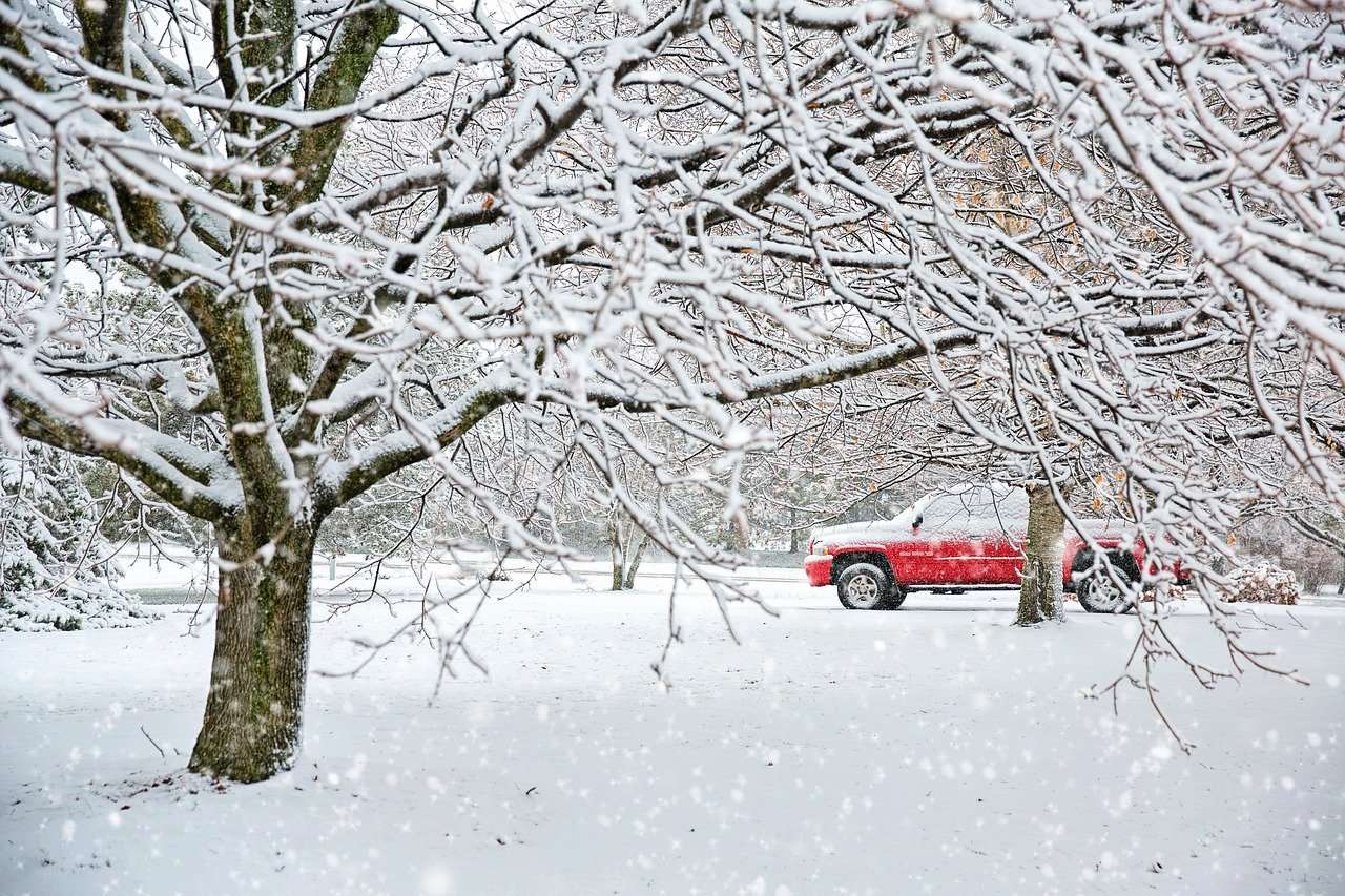 tormenta de nieve