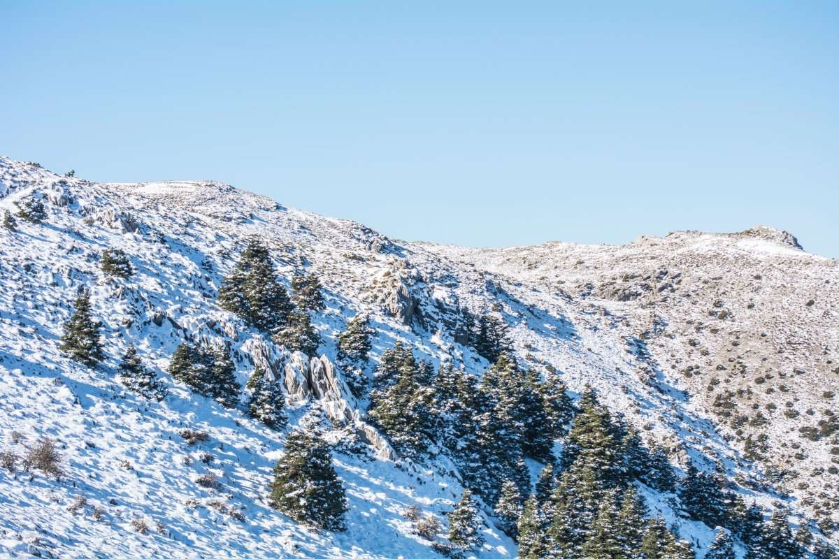 Sierra de las Nieves