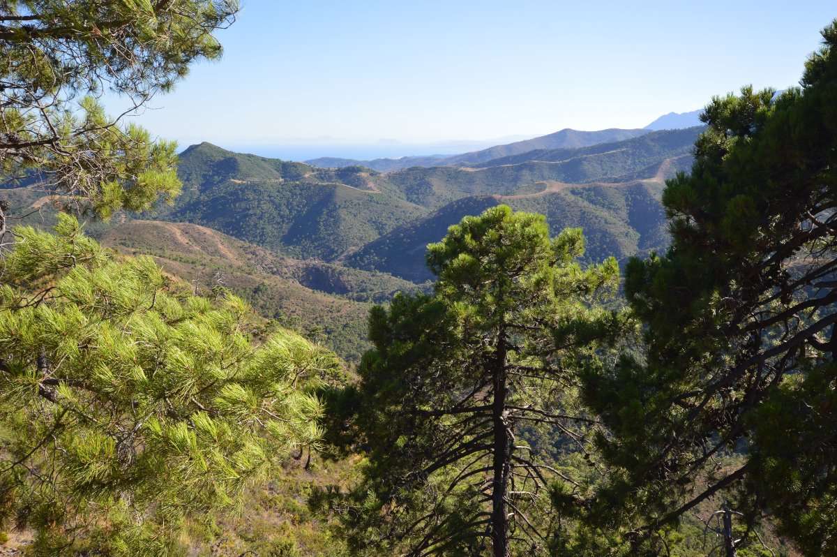 Sierra de las Nieves