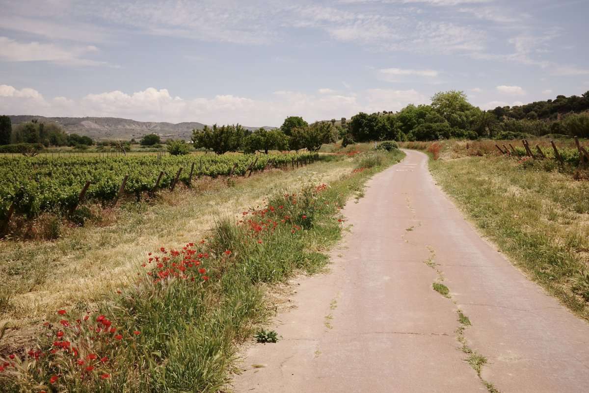 Vía Verde del Tajuña