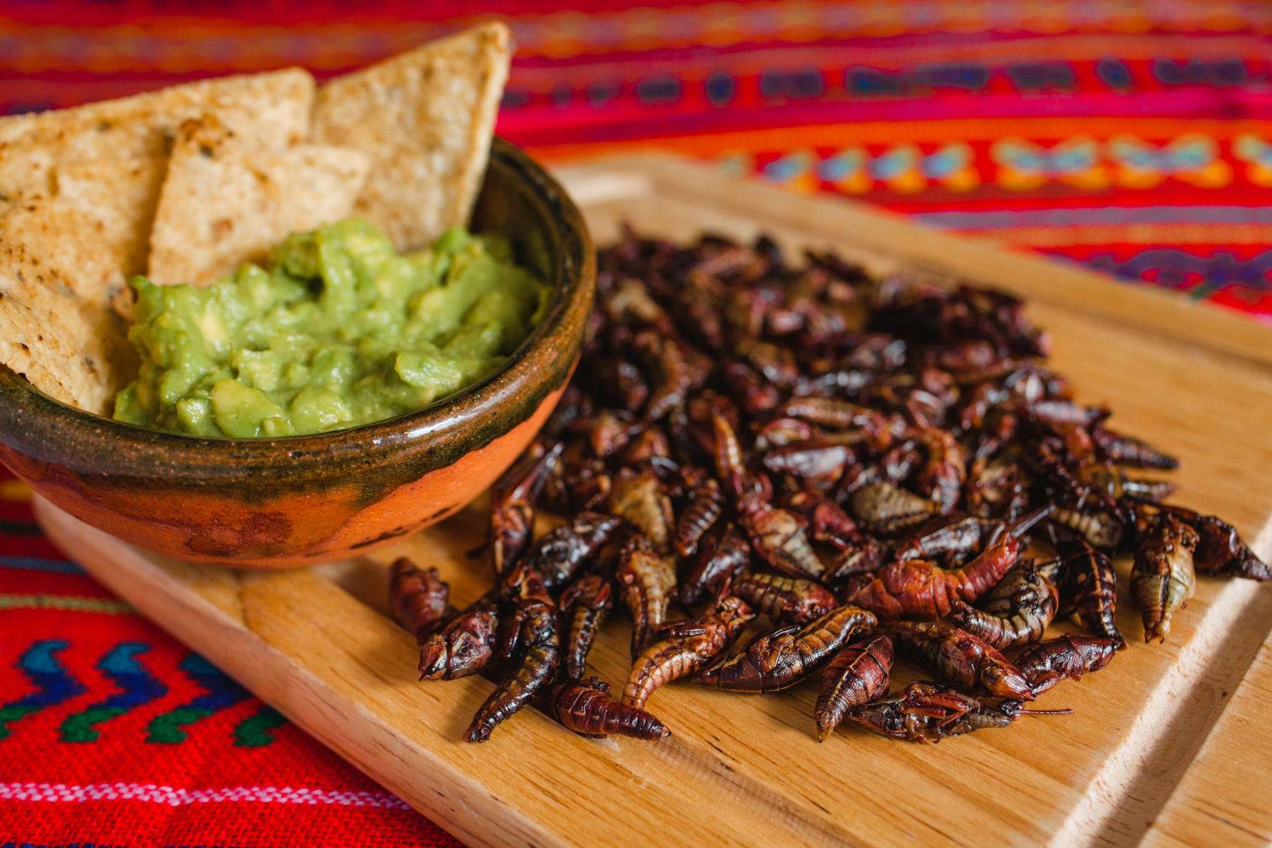 Chapulines