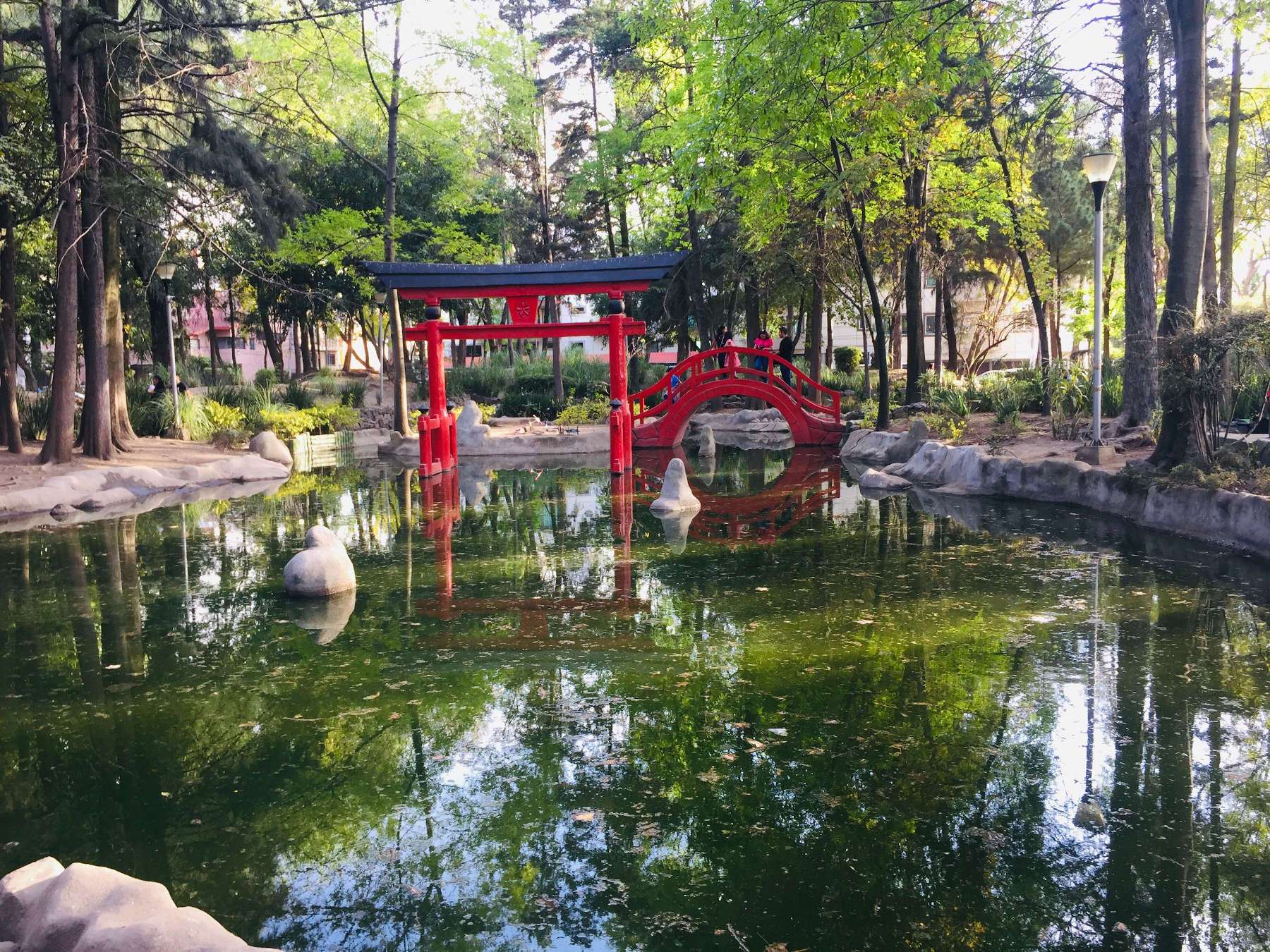 Jardín japonés Ciudad de México