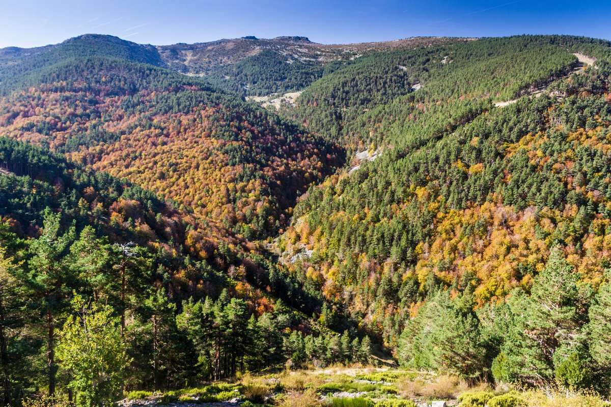 Parque Natural de Sierra de Cebollera