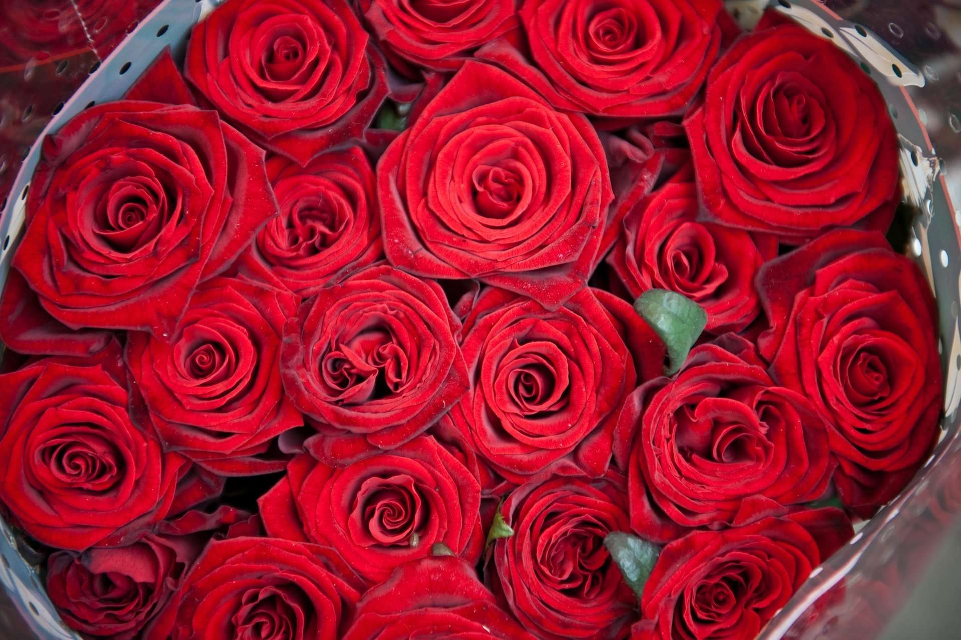 Columbia Road Flower Market