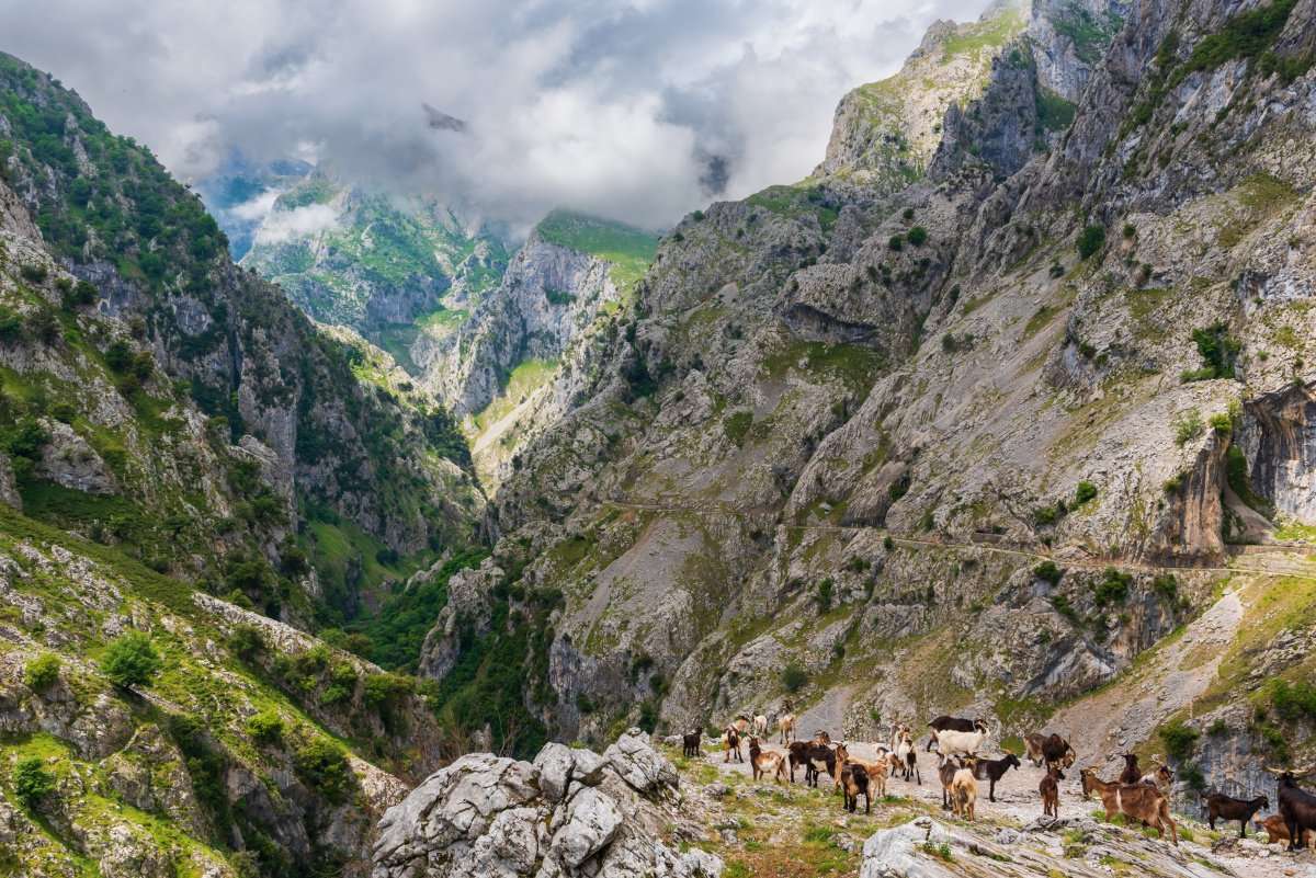 Descubriendo la Ruta del Cares entre Asturias y León