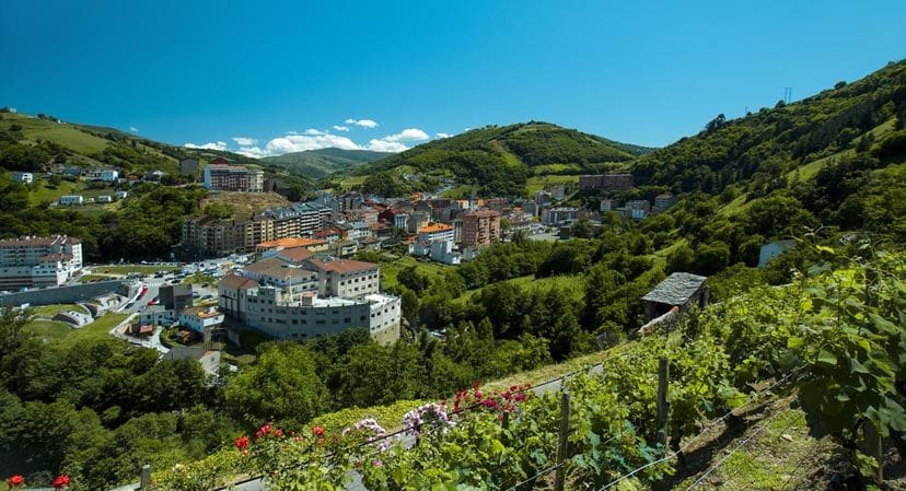 Cangas del Narcea