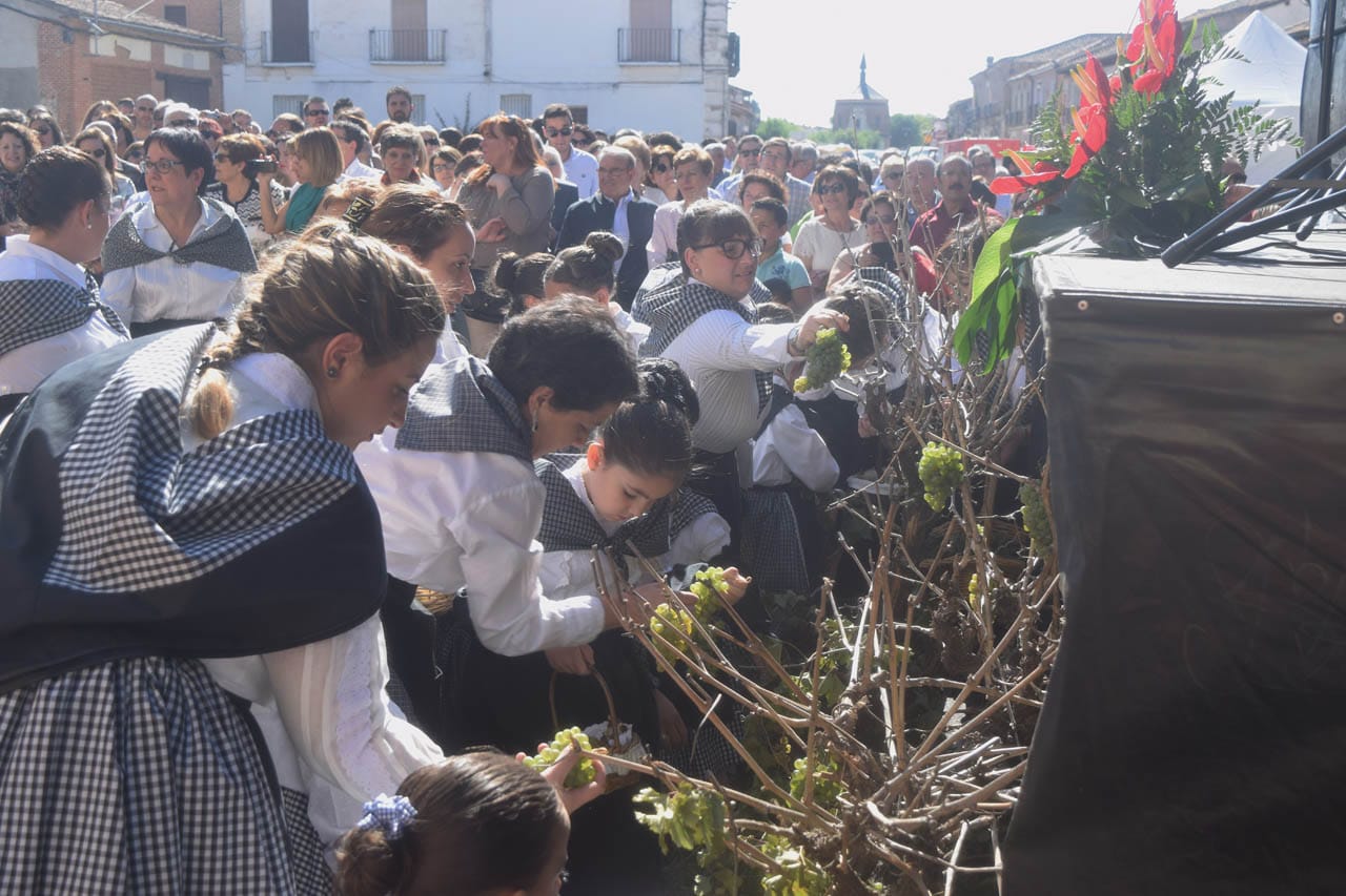 Fiesta de la Vendimia de Rueda