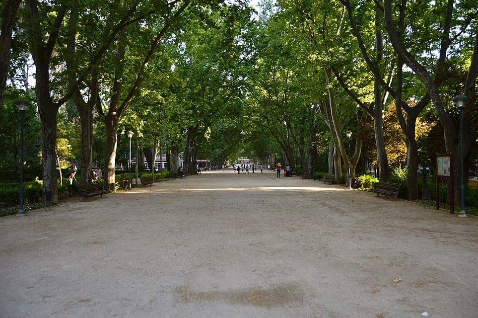 Parque Abelardo