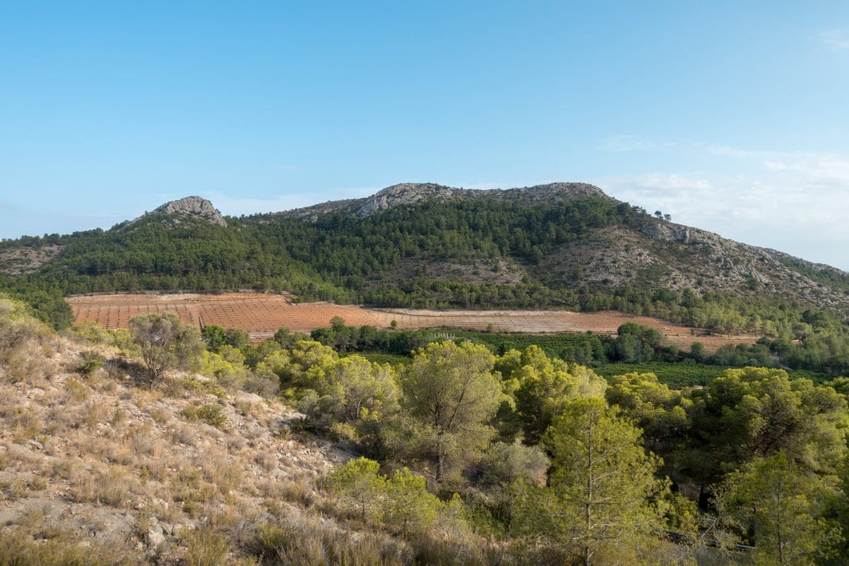 Desierto de Las Palmas