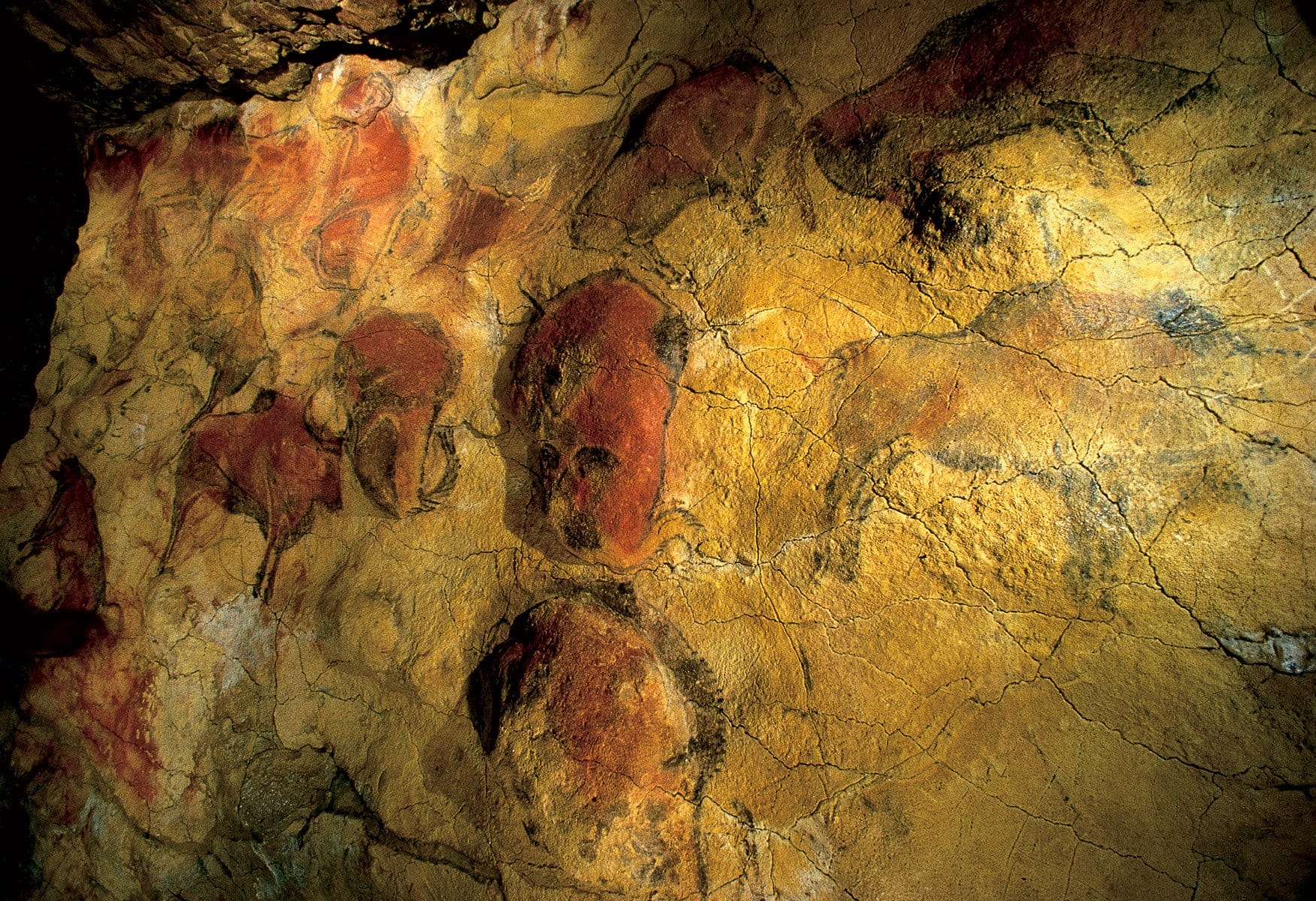 Cueva de Altamira