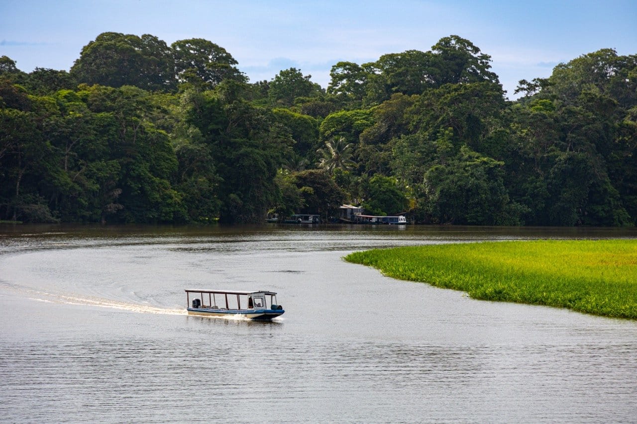 Tortuguero - Foto: Christian Rojo