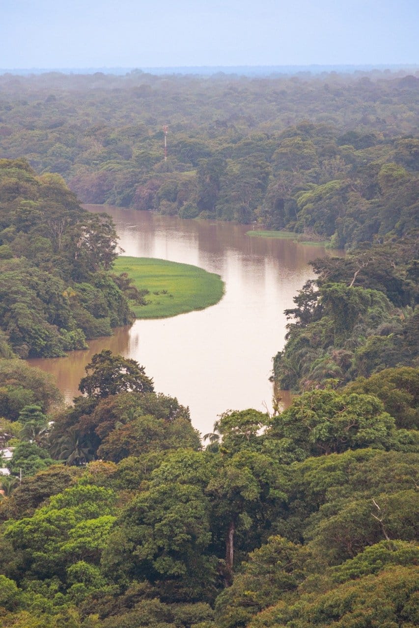 Tortuguero - Foto: Christian Rojo