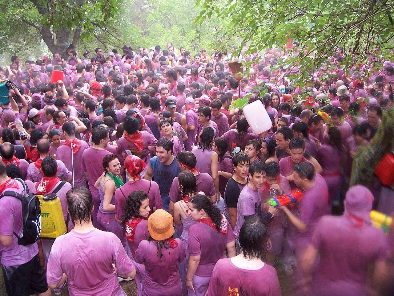 Batalla del Vino de Haro