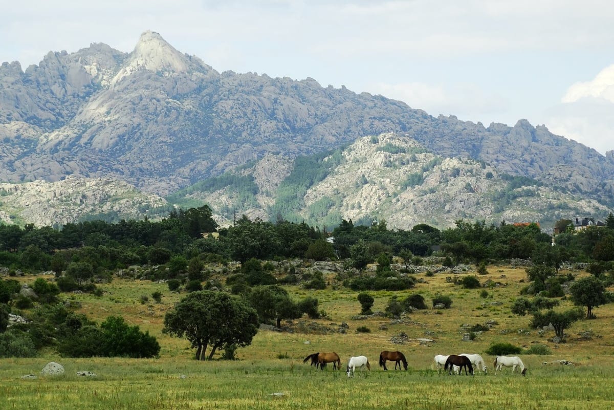 La Pedriza - Fuente: Pixabay