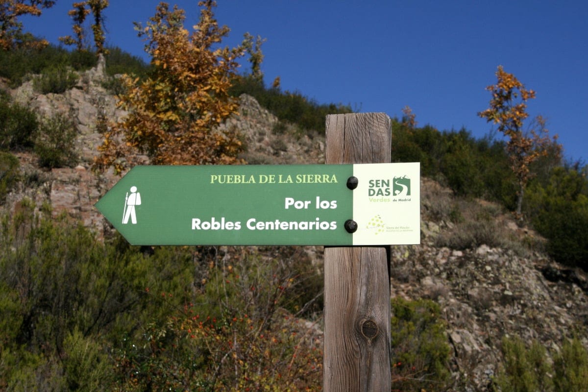 Sendero por los Robles Centenarios - Fuente: Wikipedia