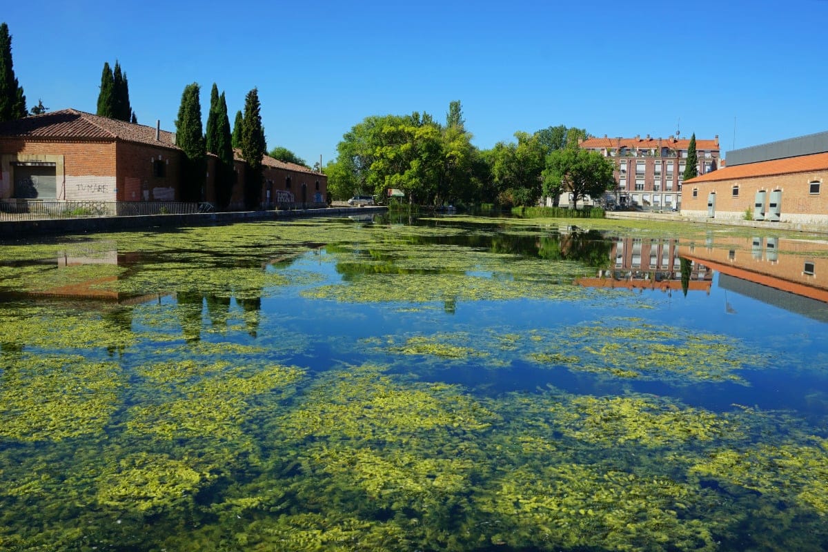 Palencia - Fuente: David Rubio