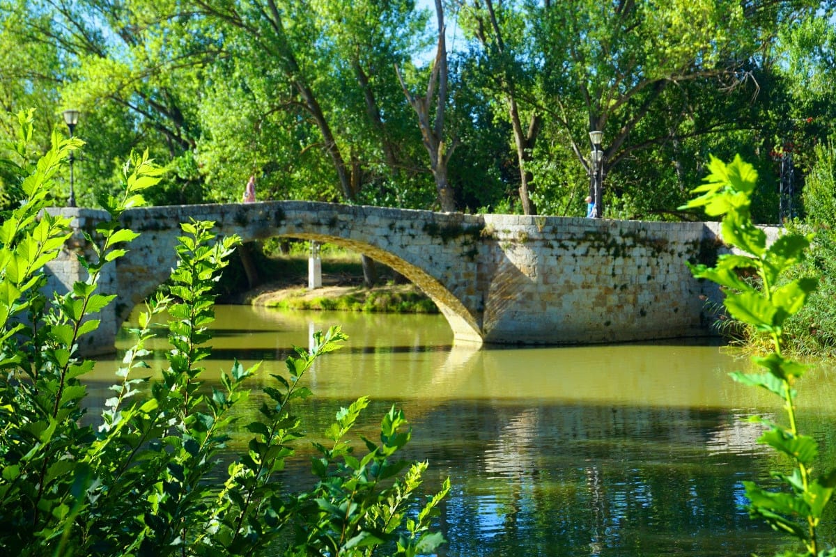 Palencia - Fuente: David Rubio