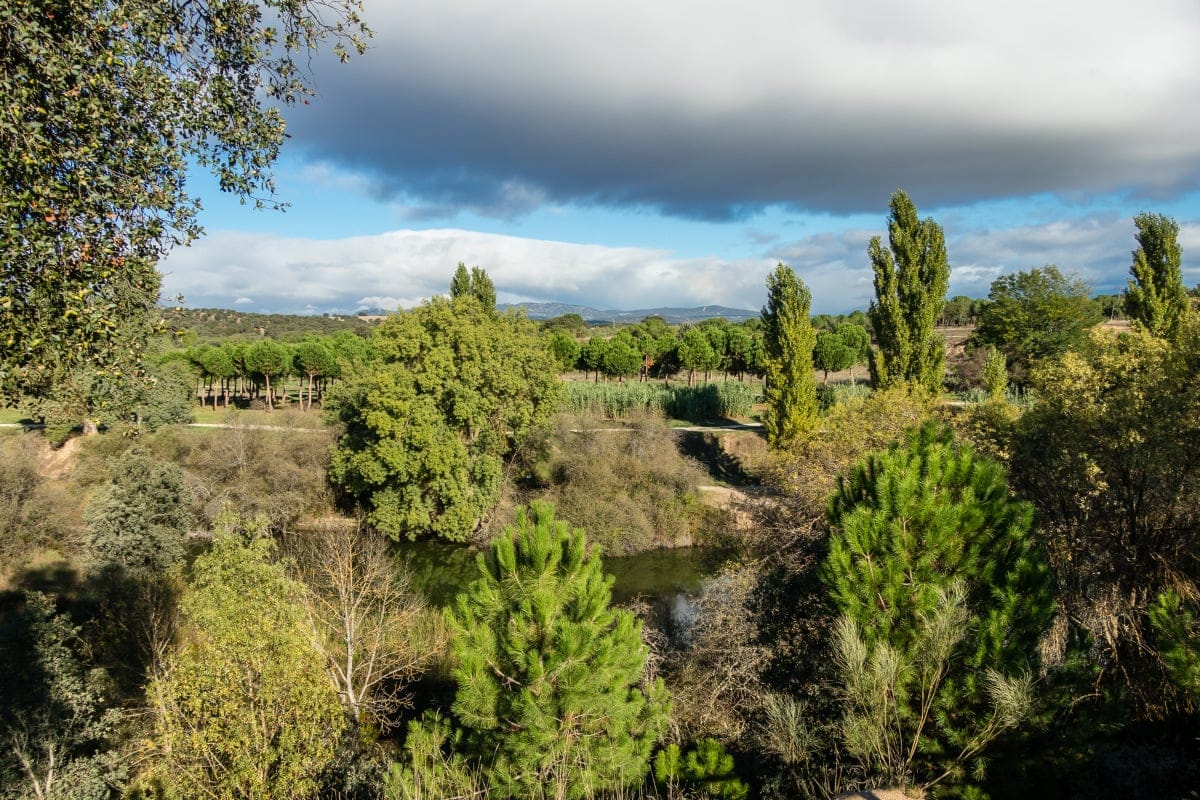 Monte de El Pardo - Depositphotos